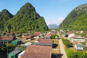 Discover Tan Hoa: The Resilient Vietnamese Village Named Among the World's Best Tourism Destinations by UNWTO - image 14