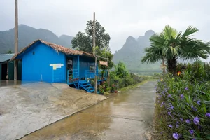Discover Tan Hoa: The Resilient Vietnamese Village Named Among the World's Best Tourism Destinations by UNWTO - image 5