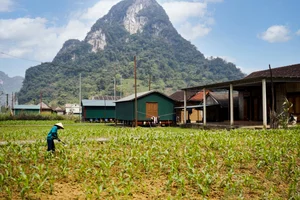 Discover Tan Hoa: The Resilient Vietnamese Village Named Among the World's Best Tourism Destinations by UNWTO - image 7