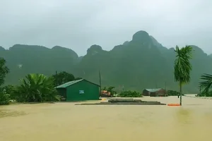 Discover Tan Hoa: The Resilient Vietnamese Village Named Among the World's Best Tourism Destinations by UNWTO - image 17