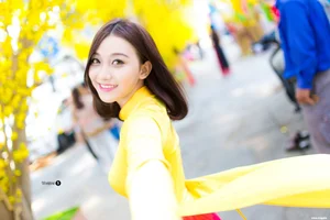 The Timeless Elegance of Vietnamese Ao Dai: A Stunning Collection of Traditional Fashion and Cultural Beauty - image 13