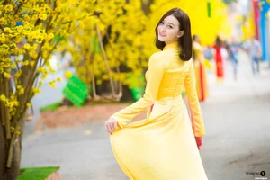 The Timeless Elegance of Vietnamese Ao Dai: A Stunning Collection of Traditional Fashion and Cultural Beauty - image 19
