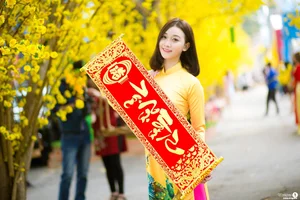 The Timeless Elegance of Vietnamese Ao Dai: A Stunning Collection of Traditional Fashion and Cultural Beauty - image 38