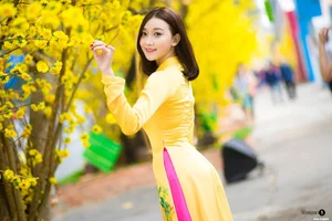 The Timeless Elegance of Vietnamese Ao Dai: A Stunning Collection of Traditional Fashion and Cultural Beauty - image 11
