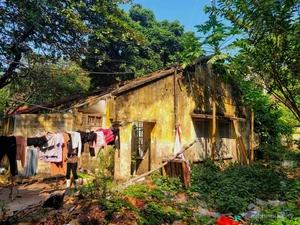 Exploring the 26-Hectare Do Son Land Auction: A Major Shift for Tourism Development in Hai Phong - image 3