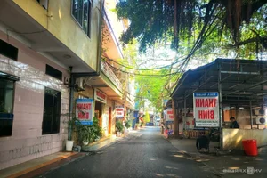 Exploring the 26-Hectare Do Son Land Auction: A Major Shift for Tourism Development in Hai Phong - image 6