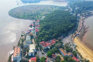 Exploring the 26-Hectare Do Son Land Auction: A Major Shift for Tourism Development in Hai Phong - image 8