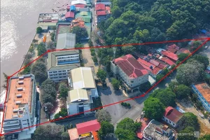Exploring the 26-Hectare Do Son Land Auction: A Major Shift for Tourism Development in Hai Phong - image 1