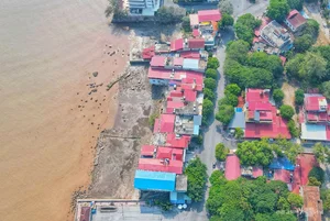 Exploring the 26-Hectare Do Son Land Auction: A Major Shift for Tourism Development in Hai Phong - image 0