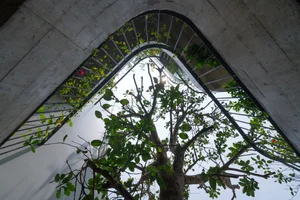 V1 House in Vinh: A 4-Story Townhouse Blending Open Architecture and Heritage - image 2