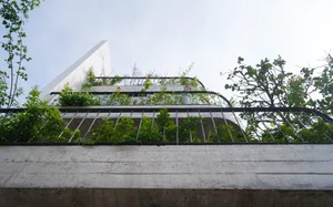 V1 House in Vinh: A 4-Story Townhouse Blending Open Architecture and Heritage - image 8