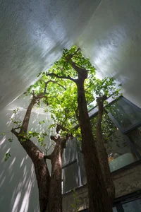 V1 House in Vinh: A 4-Story Townhouse Blending Open Architecture and Heritage - image 18