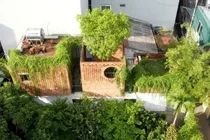 A Hanoi house in a narrow alley filled with natural light and ventilation - image 11