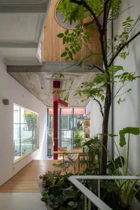 A Hanoi house in a narrow alley filled with natural light and ventilation - image 15