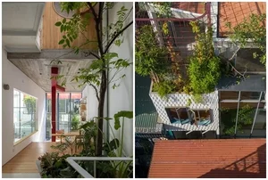 A Hanoi house in a narrow alley filled with natural light and ventilation - image 14