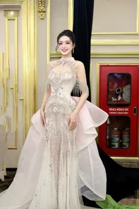 The Radiant Journey of Phan Phuong Oanh: A Celebration of Beauty, Talent, and Grace - image 3