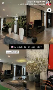 VTV Beauty Transition: From Television Screens to a Lavish Life Following High-Profile Wedding - image 6