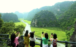Giant Rice Field Art in Tam Coc: The Majestic Shepherd Playing the Flute Landscape in Ninh Binh - image 2