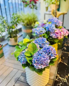 Step Inside the Stunning Flower-Filled Home of Editor Khanh Trang - image 3