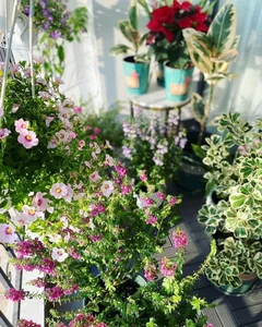 Step Inside the Stunning Flower-Filled Home of Editor Khanh Trang - image 9