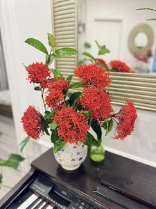 Step Inside the Stunning Flower-Filled Home of Editor Khanh Trang - image 8