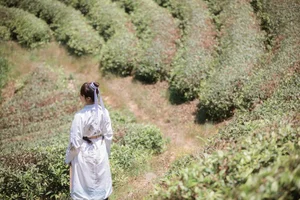 Ling Xiao in YiTuYu Art Language Vol.4517: A Masterclass in Portrait Photography and Aesthetic Grace - image 1