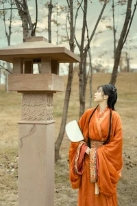 Chu Cha: Timeless Grace in YiTuYu Art Language Vol.6432 - image 25