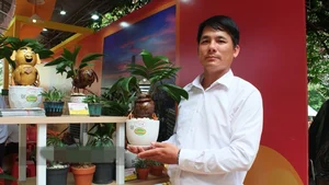 Unique Snake-Shaped Bonsai Trees: The Hottest Garden Trend for Year of the Snake 2025 - image 1