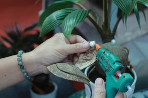 Unique Snake-Shaped Bonsai Trees: The Hottest Garden Trend for Year of the Snake 2025 - image 2