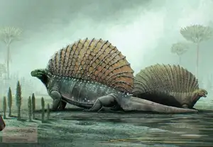 Edaphosaurus: Giant 'Sail-Backed' Prehistoric Creature, Unique Permian Herbivore - image 4