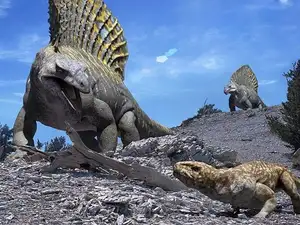 Edaphosaurus: Giant 'Sail-Backed' Prehistoric Creature, Unique Permian Herbivore - image 6
