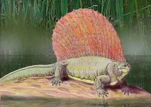 Edaphosaurus: Giant 'Sail-Backed' Prehistoric Creature, Unique Permian Herbivore - image 3