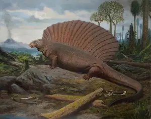 Edaphosaurus: Giant 'Sail-Backed' Prehistoric Creature, Unique Permian Herbivore - image 8