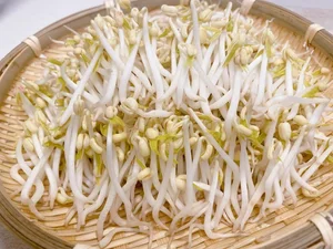 Top Delicious and Healthy Bean Sprout Recipes for Home Cooking - image 8
