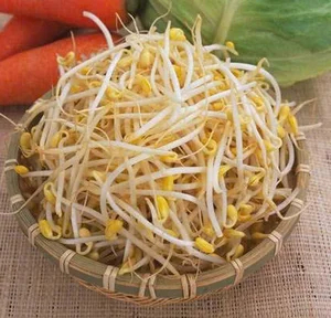 Top Delicious and Healthy Bean Sprout Recipes for Home Cooking - image 2