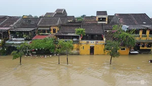 Visiting Hoi An During Summer Floods: A Unique Experience for Brave Travelers - image 11