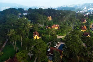 2025 Travel Guide: Exploring the Hidden Gems of Vietnam's Central Highlands - image 4