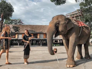 2025 Travel Guide: Exploring the Hidden Gems of Vietnam's Central Highlands - image 6
