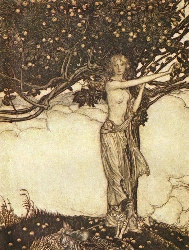 The Might of the Norse War Goddess: Unveiling the Legends of Freyja and the Valkyries