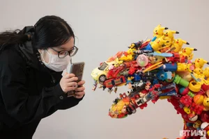 Breathtaking Art from Waste: Transforming Thousands of Old Plastic Toys into Masterpieces - image 6