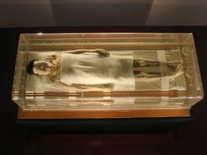 Secrets of the Ancient Coffin: A Shocking Discovery of a Perfectly Preserved Beauty - image 4