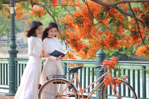 Ultimate Hai Phong Travel Guide 2024: Top Attractions and Tips - image 4