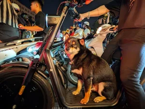 Iconic Victory Celebrations: Capturing the Passion of Vietnam’s Football Fans - image 1