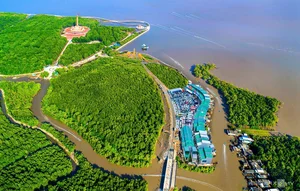 Exploring the Scenic Beauty of Ca Mau Cape in Spring - image 4