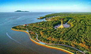 Exploring the Scenic Beauty of Ca Mau Cape in Spring - image 8