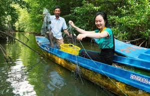 Exploring the Scenic Beauty of Ca Mau Cape in Spring - image 0