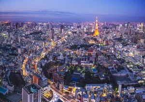 Tokyo Uncovered: A Fascinating Journey Through the Heart of Japan’s Vibrant Capital - image 8