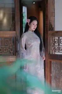 Graceful Ao Dai Beauty: Captivating Vietnamese Traditional Elegance - image 15