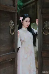 Graceful Ao Dai Beauty: Captivating Vietnamese Traditional Elegance - image 14