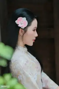 Graceful Ao Dai Beauty: Captivating Vietnamese Traditional Elegance - image 9